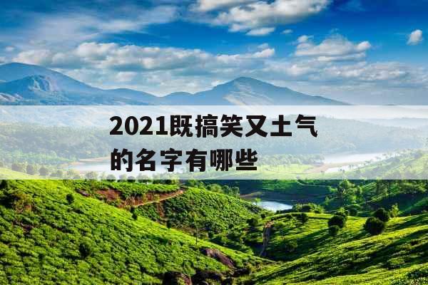 2021既搞笑又土气的名字有哪些