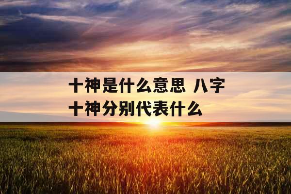 十神是什么意思 八字十神分别代表什么