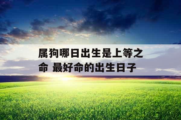 属狗哪日出生是上等之命 最好命的出生日子