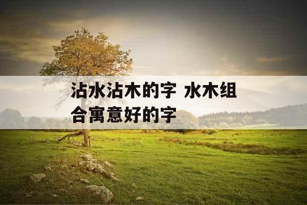 沾水沾木的字 水木组合寓意好的字 沾水沾木的字 水木组合寓意好的字