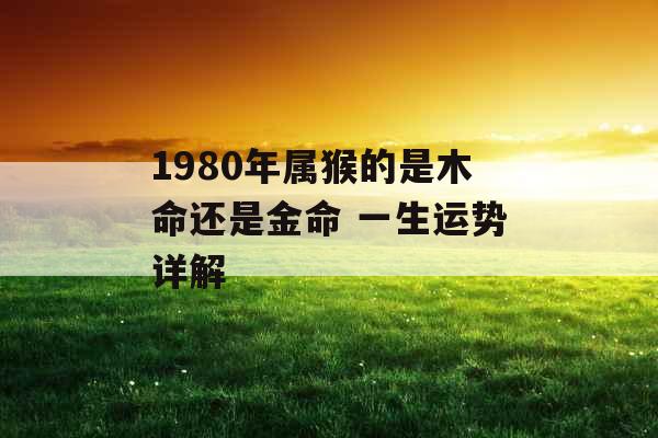 1980年属猴的是木命还是金命 一生运势详解