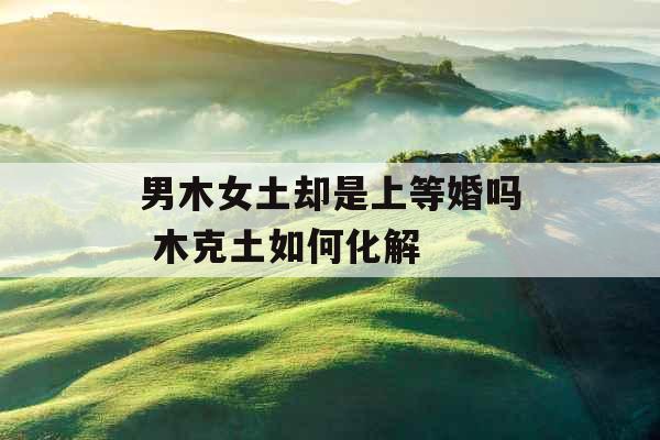 男木女土却是上等婚吗 木克土如何化解