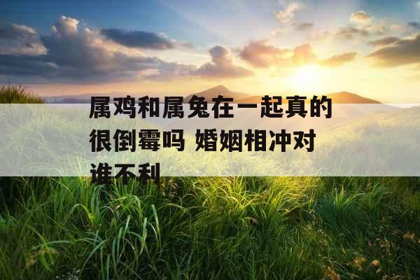 属鸡和属兔在一起真的很倒霉吗 婚姻相冲对谁不利