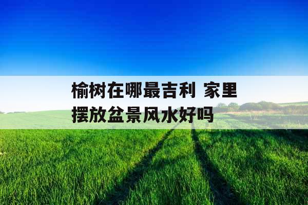 榆树在哪最吉利 家里摆放盆景风水好吗
