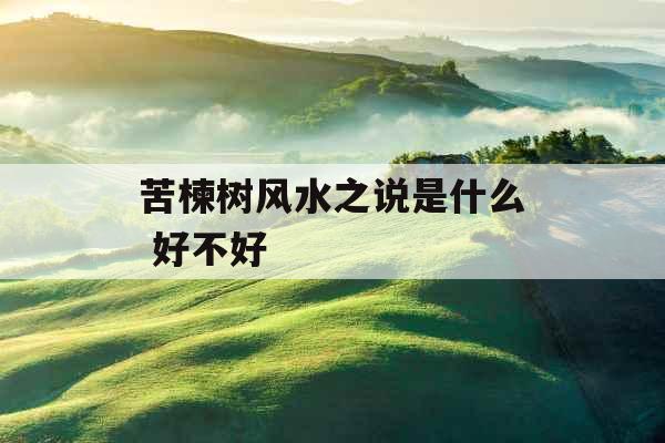 苦楝树风水之说是什么 好不好
