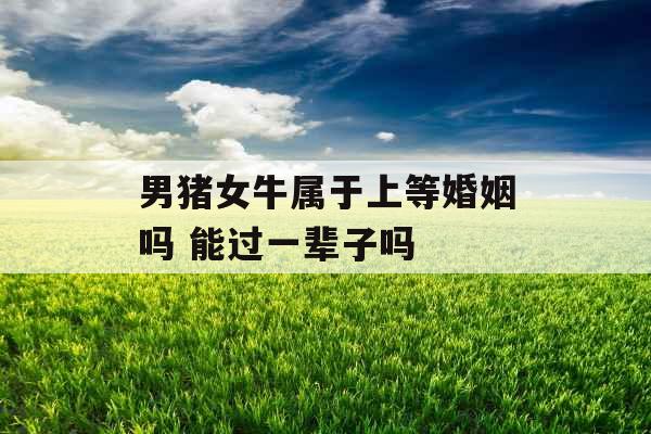 男猪女牛属于上等婚姻吗 能过一辈子吗