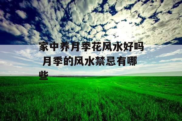 家中养月季花风水好吗 月季的风水禁忌有哪些 家中养月季花风水好吗 月季的风水禁忌有哪些