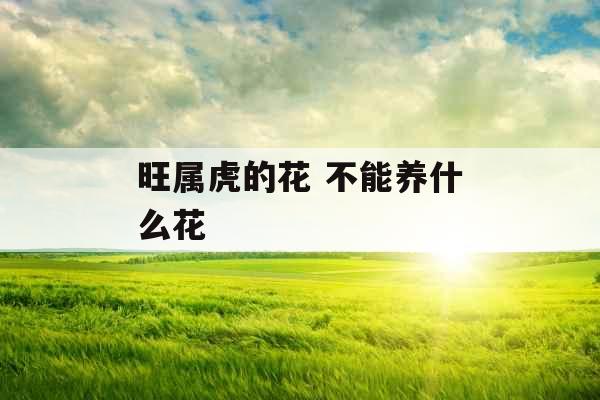 旺属虎的花 不能养什么花 旺属虎的花 不能养什么花