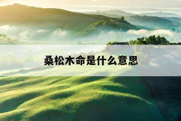 桑松木命是什么意思
