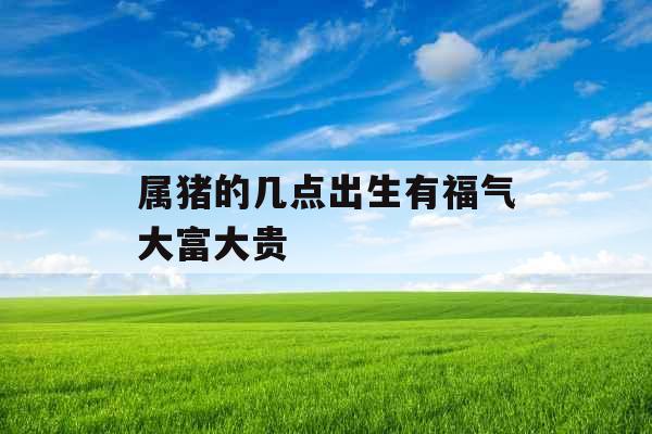 属猪的几点出生有福气大富大贵
