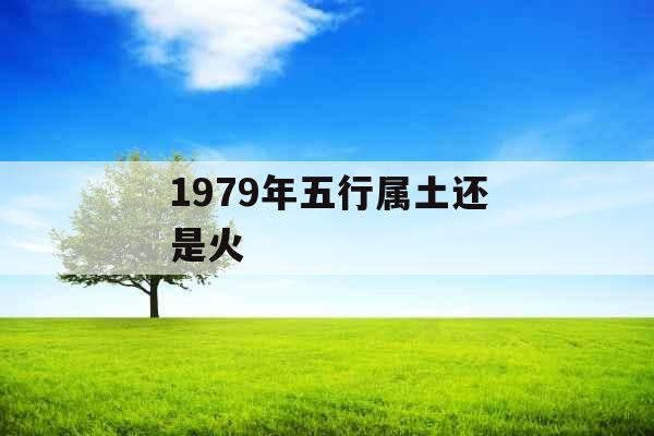 1979年五行属土还是火