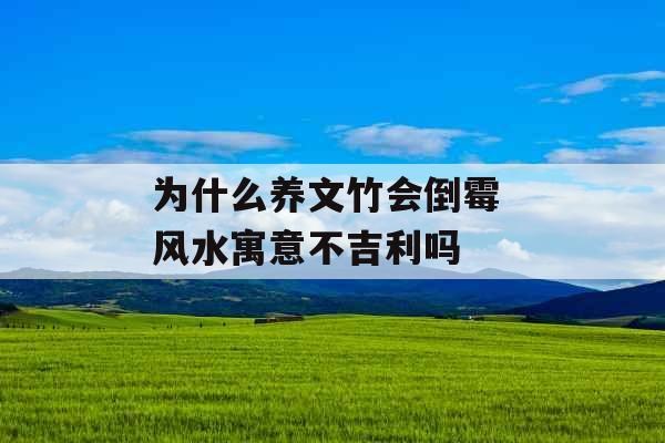 为什么养文竹会倒霉 风水寓意不吉利吗 为什么养文竹会倒霉 风水寓意不吉利吗