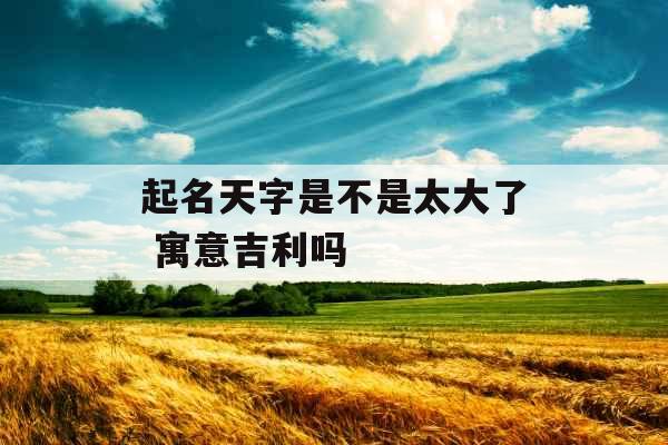 起名天字是不是太大了 寓意吉利吗
