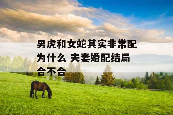 男虎和女蛇其实非常配为什么 夫妻婚配结局合不合