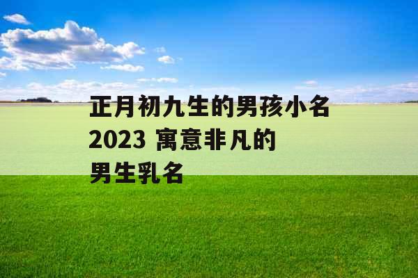 正月初九生的男孩小名2023 寓意非凡的男生乳名