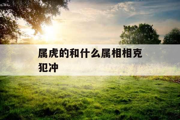 属虎的和什么属相相克犯冲