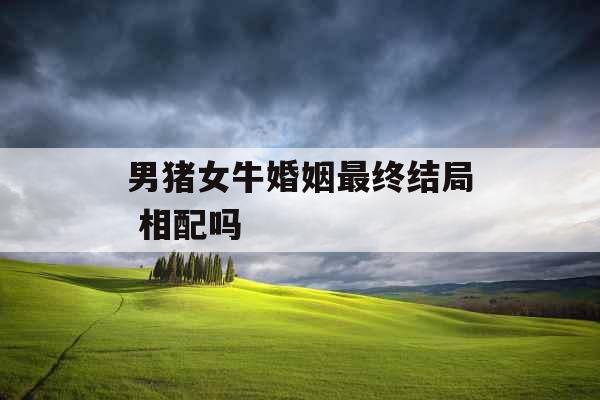男猪女牛婚姻最终结局 相配吗