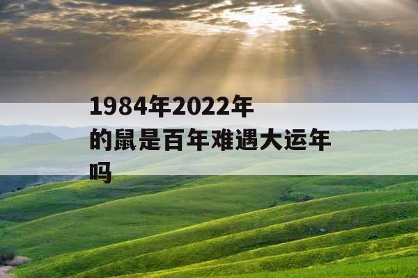 1984年2022年的鼠是百年难遇大运年吗