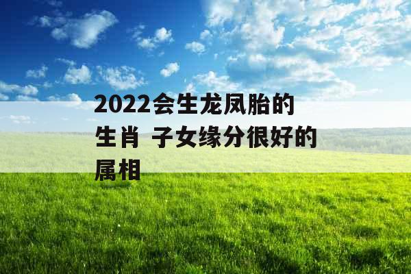 2022会生龙凤胎的生肖 子女缘分很好的属相