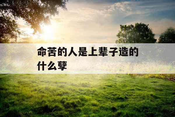 命苦的人是上辈子造的什么孽