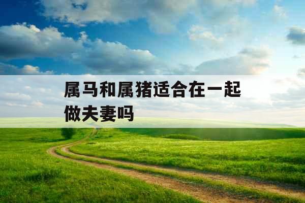 属马和属猪适合在一起做夫妻吗
