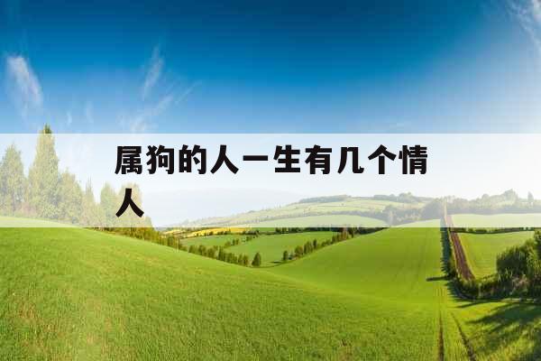 属狗的人一生有几个情人 属狗的人一生有几个情人
