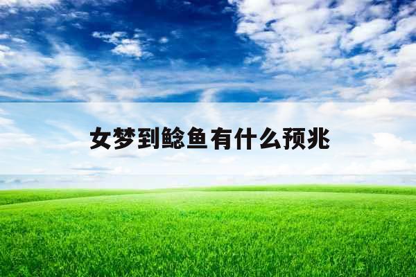 女梦到鲶鱼有什么预兆