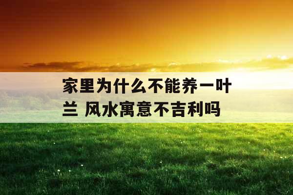 家里为什么不能养一叶兰 风水寓意不吉利吗 家里为什么不能养一叶兰 风水寓意不吉利吗