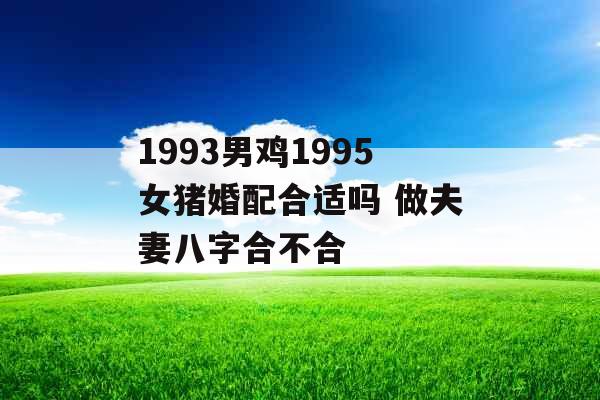 1993男鸡1995女猪婚配合适吗 做夫妻八字合不合