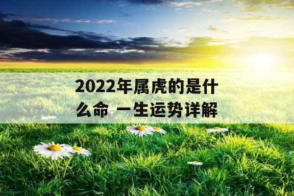 2022年属虎的是什么命 一生运势详解
