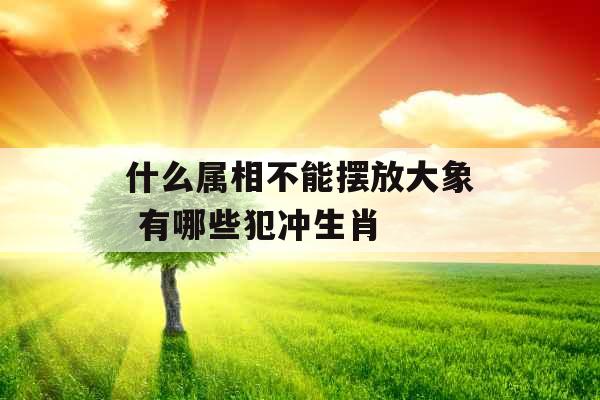 什么属相不能摆放大象 有哪些犯冲生肖