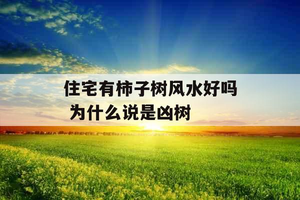 住宅有柿子树风水好吗 为什么说是凶树