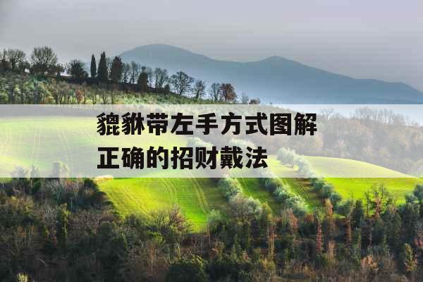 貔貅带左手方式图解 正确的招财戴法