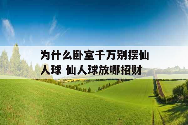 为什么卧室千万别摆仙人球 仙人球放哪招财