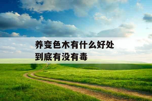 养变色木有什么好处 到底有没有毒