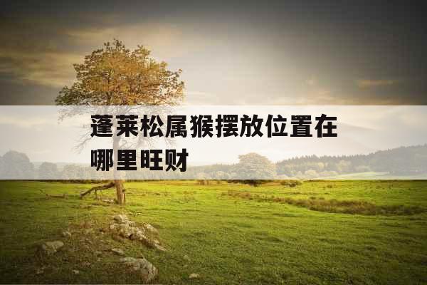蓬莱松属猴摆放位置在哪里旺财