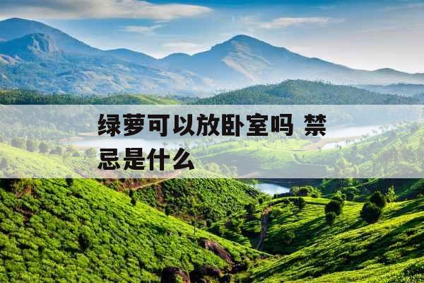 绿萝可以放卧室吗 禁忌是什么