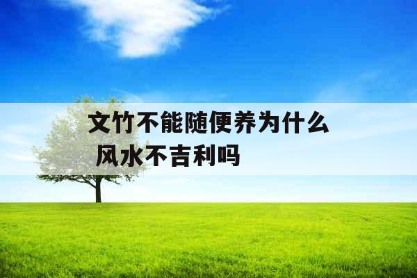 文竹不能随便养为什么 风水不吉利吗 文竹不能随便养为什么 风水不吉利吗