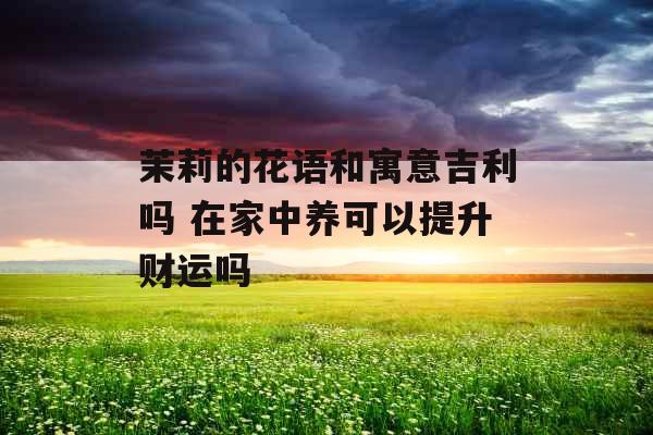 茉莉的花语和寓意吉利吗 在家中养可以提升财运吗