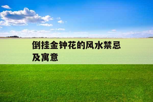 倒挂金钟花的风水禁忌及寓意