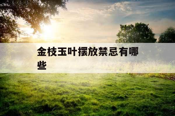 金枝玉叶摆放禁忌有哪些