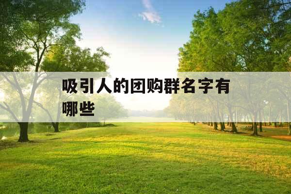 吸引人的团购群名字有哪些
