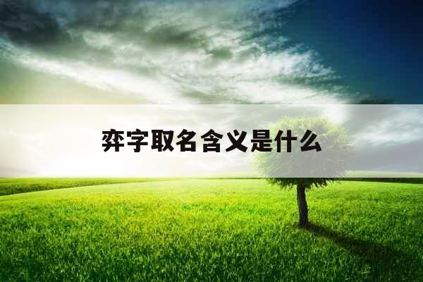 弈字取名含义是什么