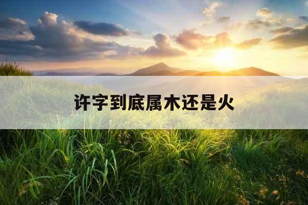 许字到底属木还是火