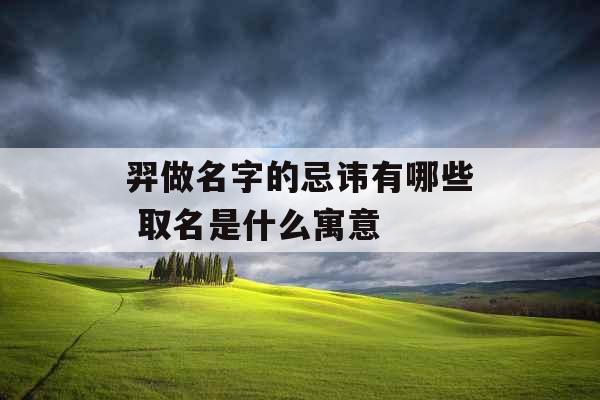 羿做名字的忌讳有哪些 取名是什么寓意