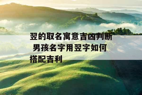 翌的取名寓意吉凶判断 男孩名字用翌字如何搭配吉利