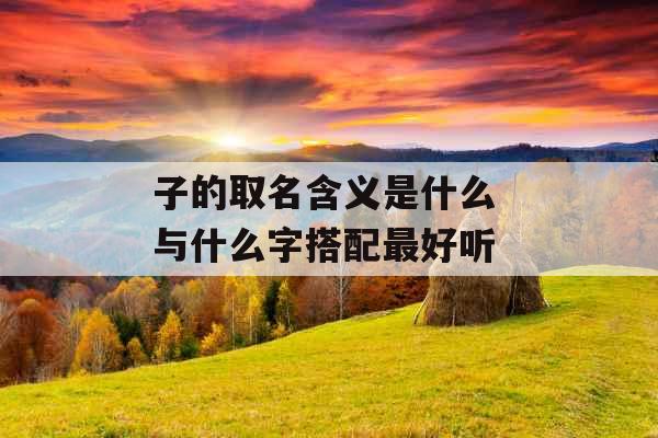 子的取名含义是什么 与什么字搭配最好听