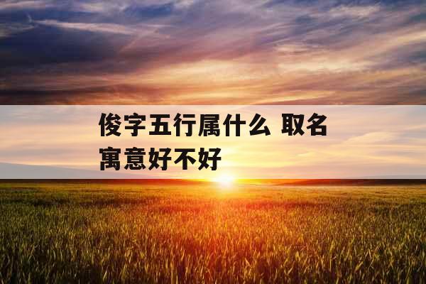 俊字五行属什么 取名寓意好不好