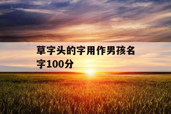 草字头的字用作男孩名字100分