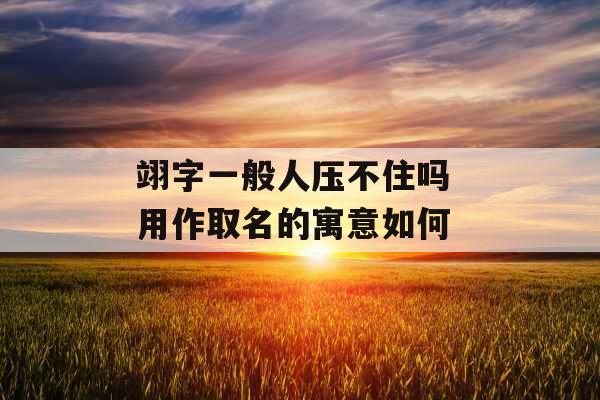 翊字一般人压不住吗 用作取名的寓意如何 翊字一般人压不住吗 用作取名的寓意如何